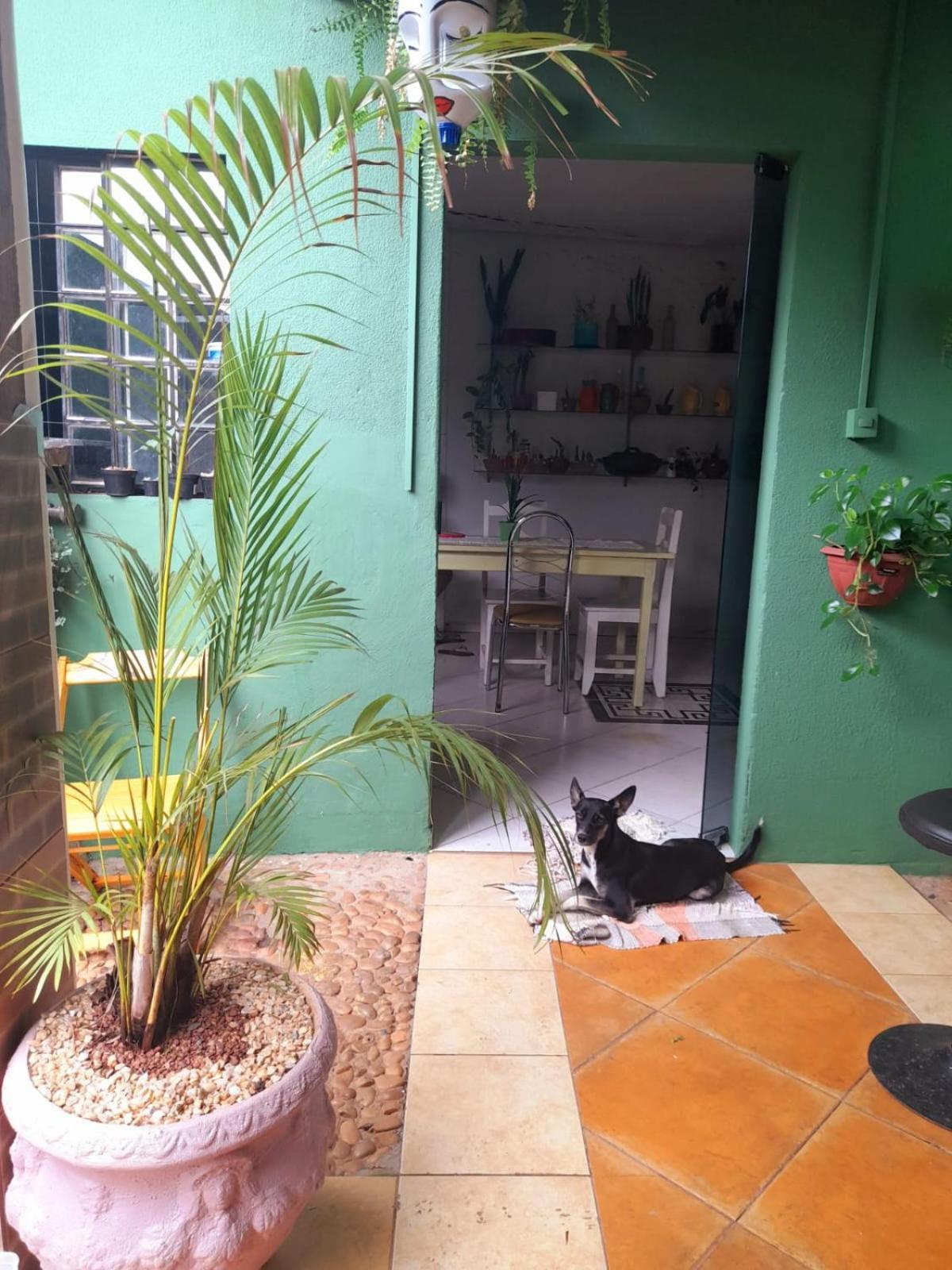 Verdes Hostel Palmas-To Palmas  Luaran gambar